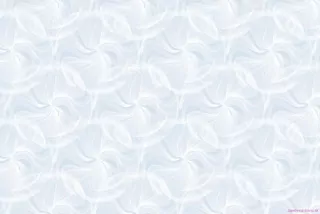 Samolepiace fólie d-c-fix 3468076 Tara transparent 67,5 cm x 2 m