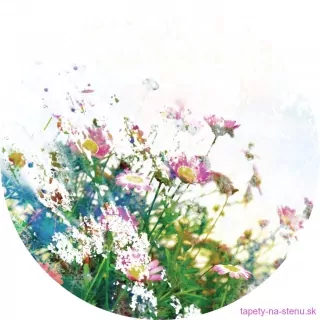 Samolepiaca fototapeta CR3201 Field Flowers 70 x 70 cm
