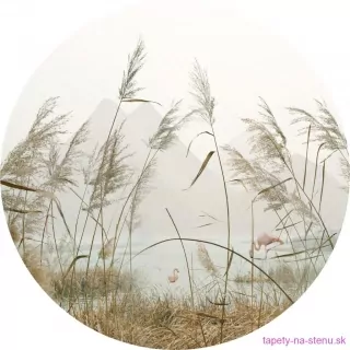 Samolepiaca fototapeta CR3204 Reeds 70 x 70 cm