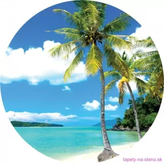 Samolepiaca fototapeta CR3205 Palms on Beach 70 x 70 cm