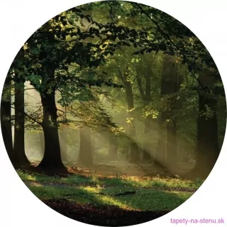 Samolepiaca fototapeta CR3210 Magic Forest 70 x 70 cm