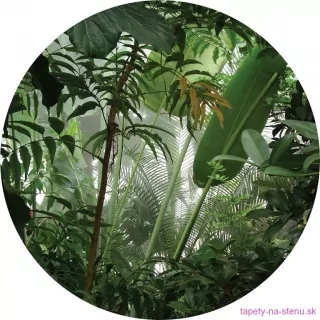 Samolepiaca fototapeta CR3213 Jungle 70 x 70 cm