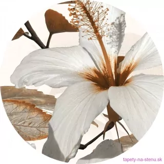 Samolepiaca fototapeta CR3217 Lily 70 x 70 cm
