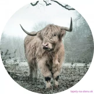 Samolepiaca fototapeta CR3229 Highlander 70 x 70 cm