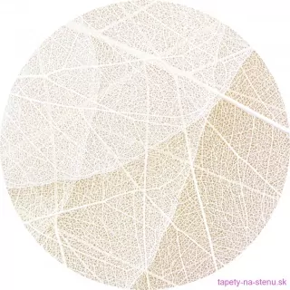 Samolepiaca fototapeta CR3231 White Paths 70 x 70 cm