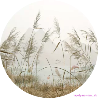 Samolepiaca fototapeta CR3304 Reeds 140 x 140 cm