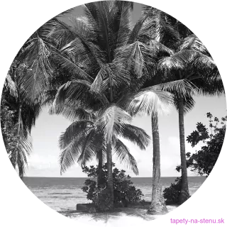Samolepiaca fototapeta CR3309 Monochromatic Palms 140 x 140 cm