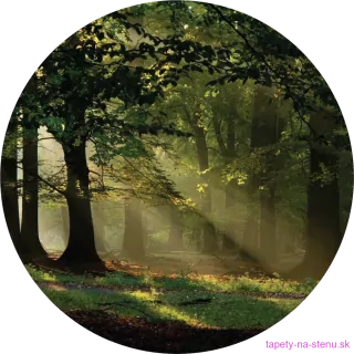 Samolepiaca fototapeta CR3310 Magic Forest 140 x 140 cm
