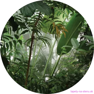 Samolepiaca fototapeta CR3313 Jungle 140 x 140 cm
