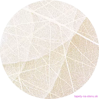 Samolepiaca fototapeta CR3331 White Paths 140 x 140 cm