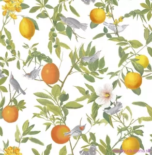 Graham tapeta 105641 Reverie 0,52 x 10 m