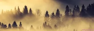 Fototapeta Dimex Lesná krajina KI180-142 | 180 x 60 cm