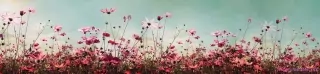 Fototapeta Dimex Jarné pole KI260-126 | 260 x 60 cm