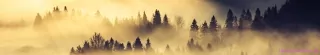 Fototapeta Dimex Lesná krajina KI350-142 | 350 x 60 cm