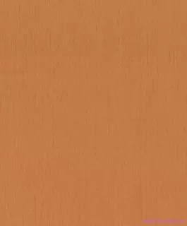Rasch tapeta na stenu 746099 Indian Style 0,53 x 10,05 m