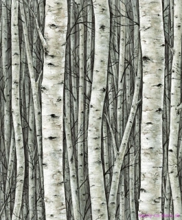 Marburg tapeta na stenu 35380 Timber 0,53 x 10,05 m
