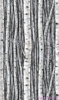 Marburg fototapeta na stenu 35395 Timber 159 x 270 cm