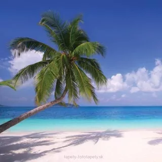 Vliesové fototapety Beach L-170