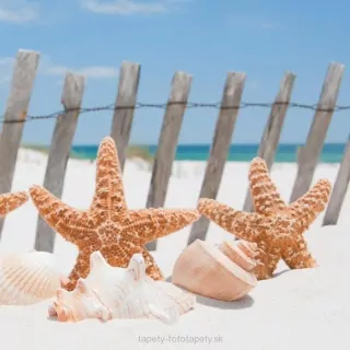 Vliesové fototapety Starfish L-178