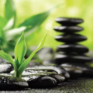 Vliesové fototapety Zen Stones L-198