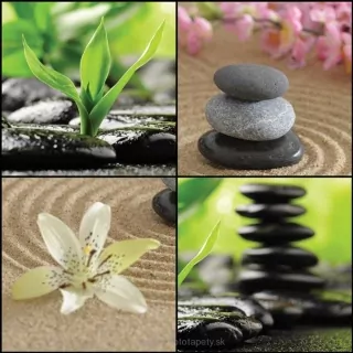 Vliesové fototapety Zen Collage L-205