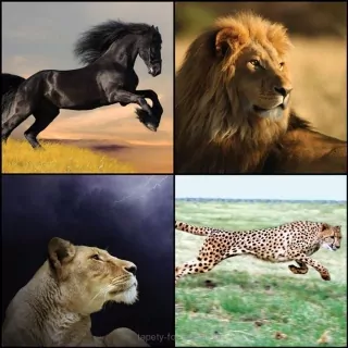 Vliesové fototapety Fast Animals L-228