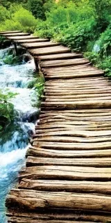 Fotoapeta na stenu Boardwalk S-116
