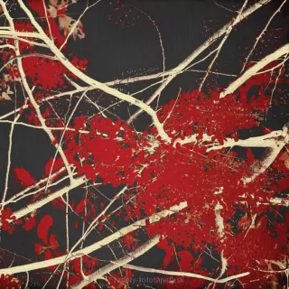 Vliesové fototapety Red Blossom L-240