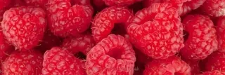 Fototapeta Dimex Raspberry KI180-004 | 180 x 60 cm