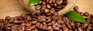 Fototapeta Dimex Coffee KI180-006 | 180 x 60 cm