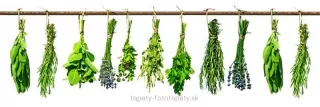 Fototapeta Dimex Herbs KI180-007 | 180 x 60 cm