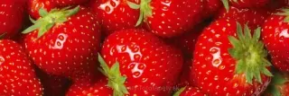 Fototapeta Dimex Strawberry KI180-025 | 180 x 60 cm