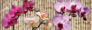 Fototapeta Dimex Orchid KI180-026 | 180 x 60 cm