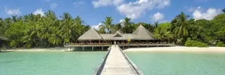Fototapeta Dimex Jetty KI180-035 | 180 x 60 cm