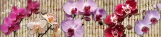 Fototapeta Dimex Orchid KI260-026 | 260 x 60 cm