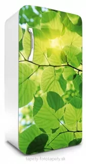Fototapeta Dimex Leaves 65 x 120 cm FR120-009