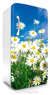 Fototapeta Dimex Daisies 65 x 120 cm FR120-011