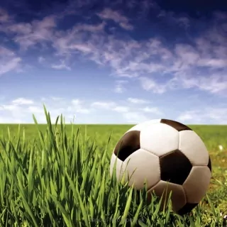 Vliesové fototapety Futbal L-260