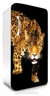 Fototapeta Dimex Panther 65 x 120 cm FR120-017