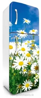 Fototapeta Dimex Daisies 65 x 180 cm FR180-011