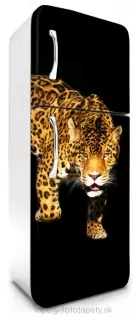 Fototapeta Dimex Panther 65 x 180 cm FR180-017