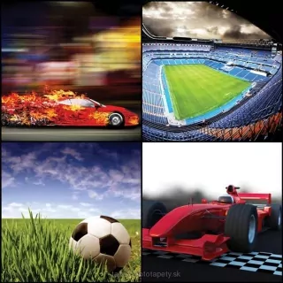 Vliesové fototapety Sport Collage L-275
