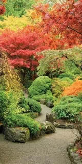 Fotoapeta na stenu Japonská záhrada S-121