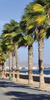 Fotoapeta na stenu Limassol S-123