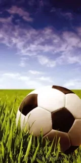 Samolepiace fototapety Dimex Futbal 95 x 210 cm D026