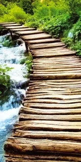 Samolepiace fototapety Dimex Boardwalk 95 x 210 cm D005