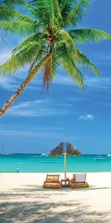 Fotoapeta na stenu Tropical Beach S-149