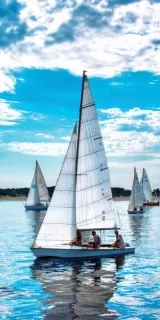 Fotoapeta na stenu Plachtenice S-156